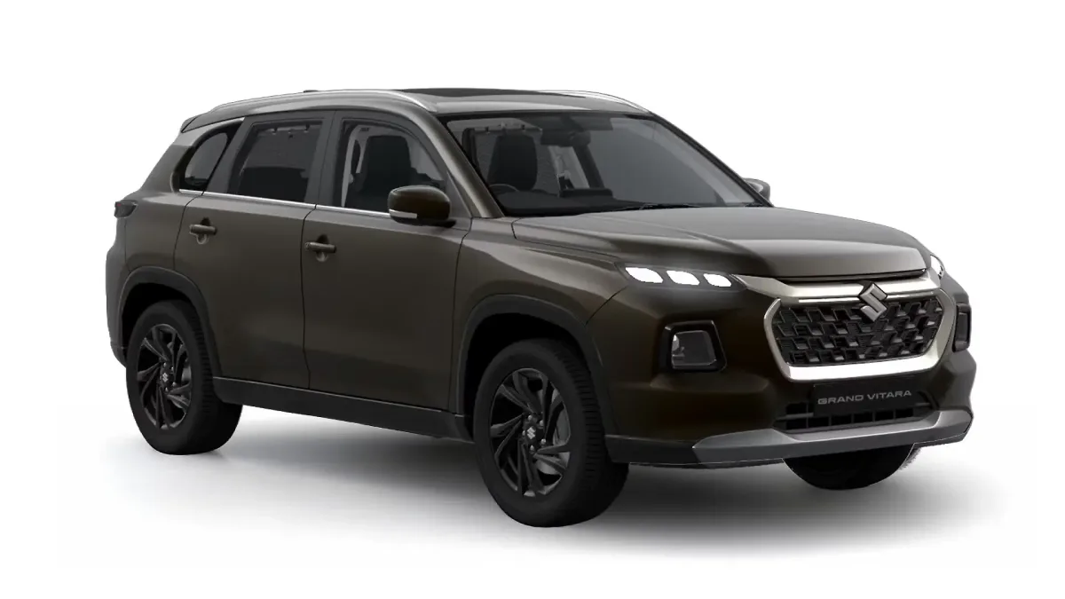 Grand Vitara photograph